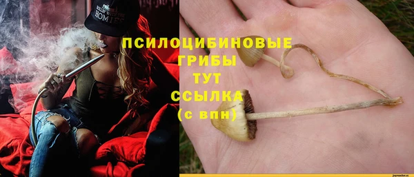 Альфа ПВП Баксан