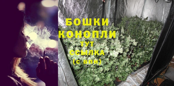 прущие грибы Балабаново