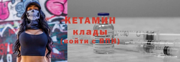 прущие грибы Балабаново