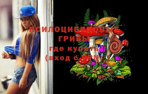 PSILOCYBIN Пестово