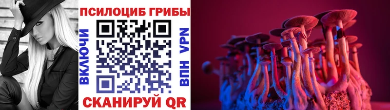 наркота kraken вход Псилоцибиновые грибы ЛСД Видное